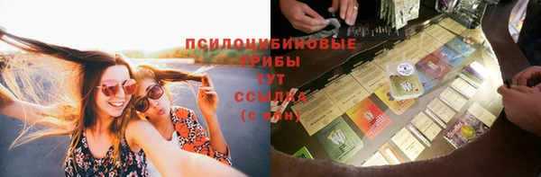 метадон Каменск-Шахтинский