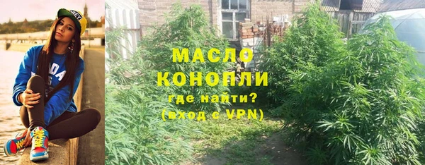 spice Инсар