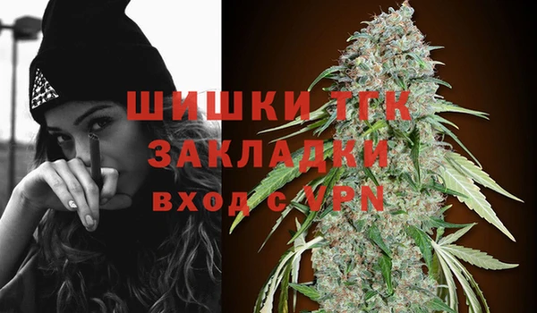 твердый Каменногорск