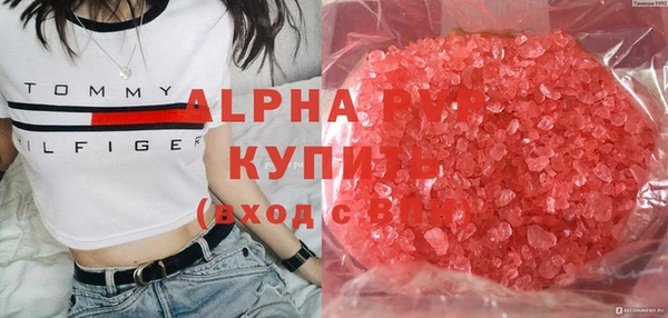 ешки Иннополис