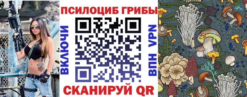 Галлюциногенные грибы GOLDEN TEACHER  Новороссийск 