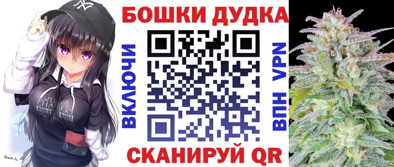 как найти наркотики Новороссийск Конопля планчик