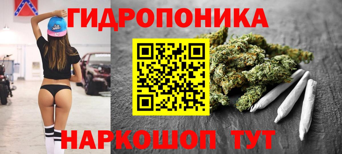 Конопля Bruce Banner Новороссийск